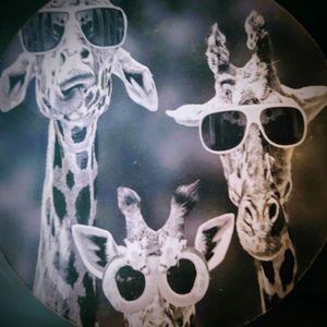 Meet your Posher, Benjamin